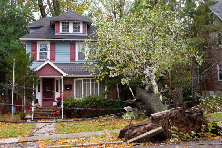 Storms in Dallas can cause significant damage to roofs, leading to leaks and structural issues. Zeus Roofing offers comprehensive storm damage restoration services, including 24/7 emergency response, thorough damage inspections, and expert repairs. We provide transparent estimates, assist with insurance claims, and use high-quality materials for long-lasting results. Our customer-centric approach ensures clear communication and reliable service throughout the process. With preventative measures like reinforced materials and regular maintenance, we help safeguard your roof against future storms. Trust Zeus Roofing for fast, dependable storm damage repair and emergency roof services in Dallas.